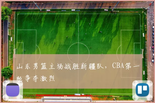 山东男篮主场战胜新疆队，CBA第一轮争夺激烈