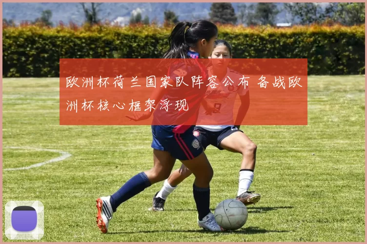欧洲杯荷兰国家队阵容公布 备战欧洲杯核心框架浮现