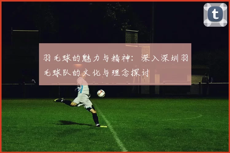 羽毛球的魅力与精神:深入深圳羽毛球队的文化与理念探讨