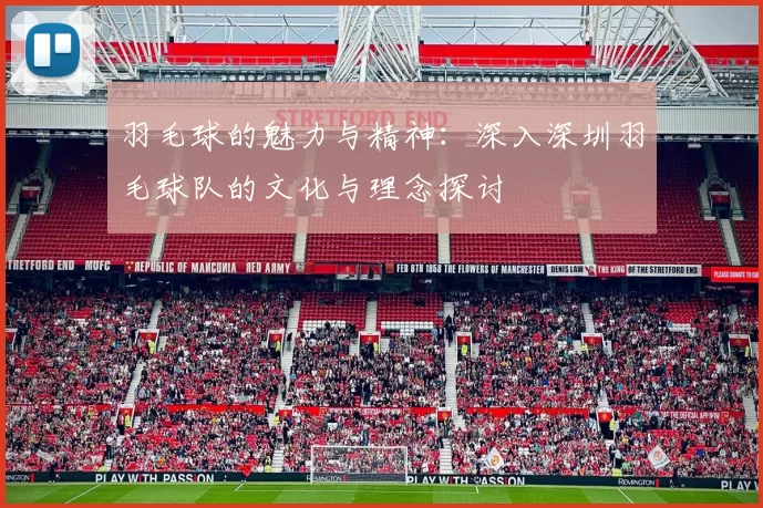 羽毛球的魅力与精神:深入深圳羽毛球队的文化与理念探讨