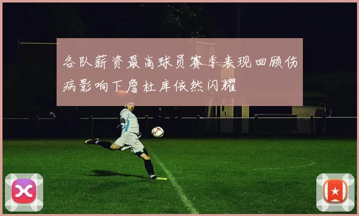 各队薪资最高球员赛季表现回顾伤病影响下詹杜库依然闪耀
