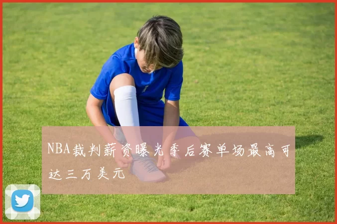 NBA裁判薪资曝光季后赛单场最高可达三万美元