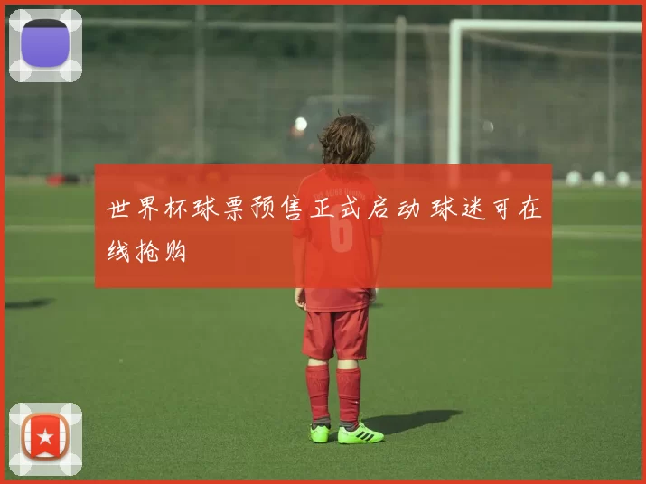 世界杯球票预售正式启动 球迷可在线抢购