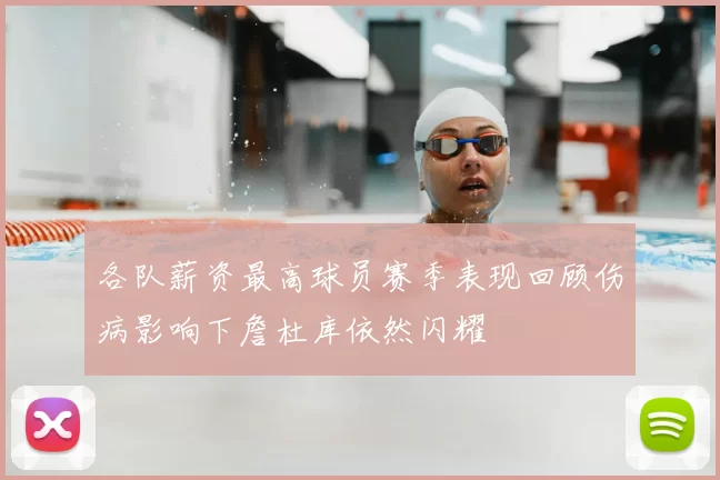 各队薪资最高球员赛季表现回顾伤病影响下詹杜库依然闪耀